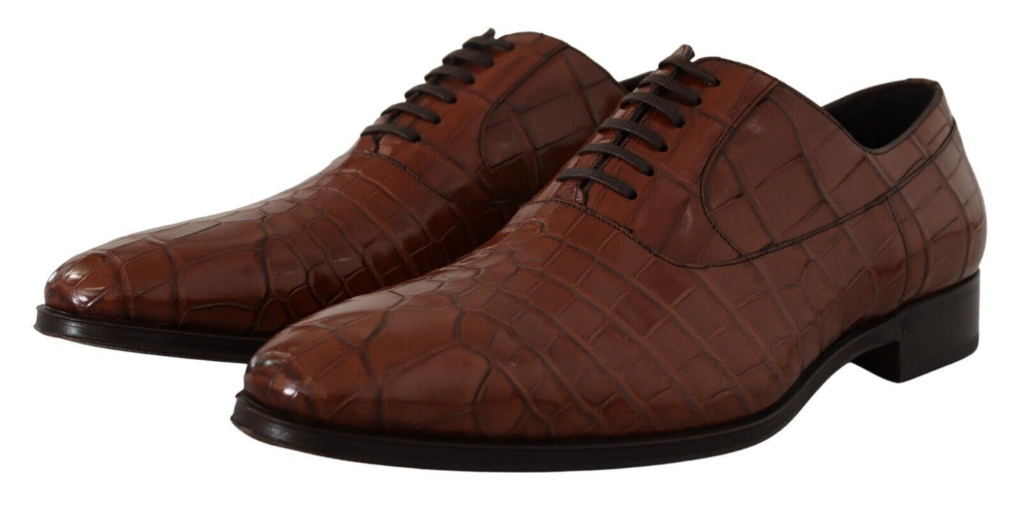 Dolce & Gabbana Elegant formal shoes made of exotic crocodile leather