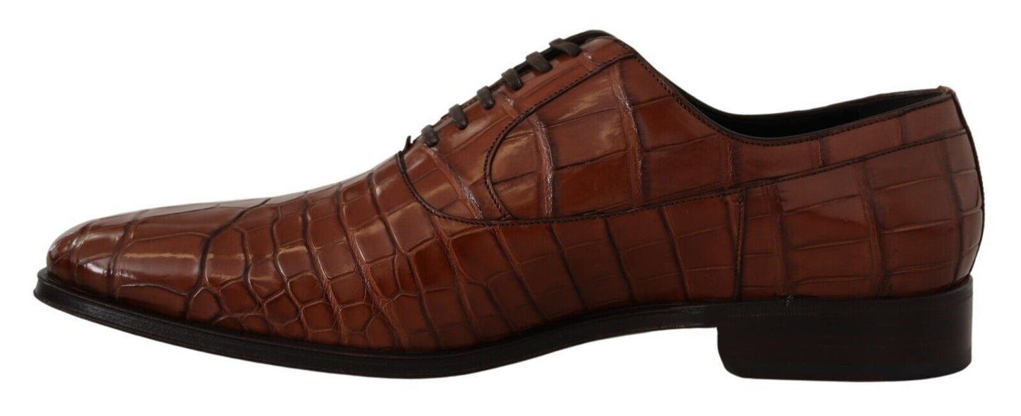 Dolce & Gabbana Elegant formal shoes made of exotic crocodile leather