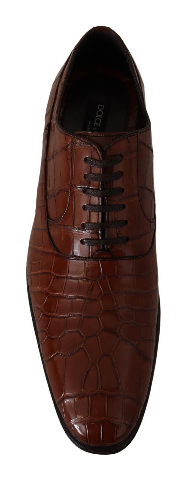 Dolce & Gabbana Elegant formal shoes made of exotic crocodile leather