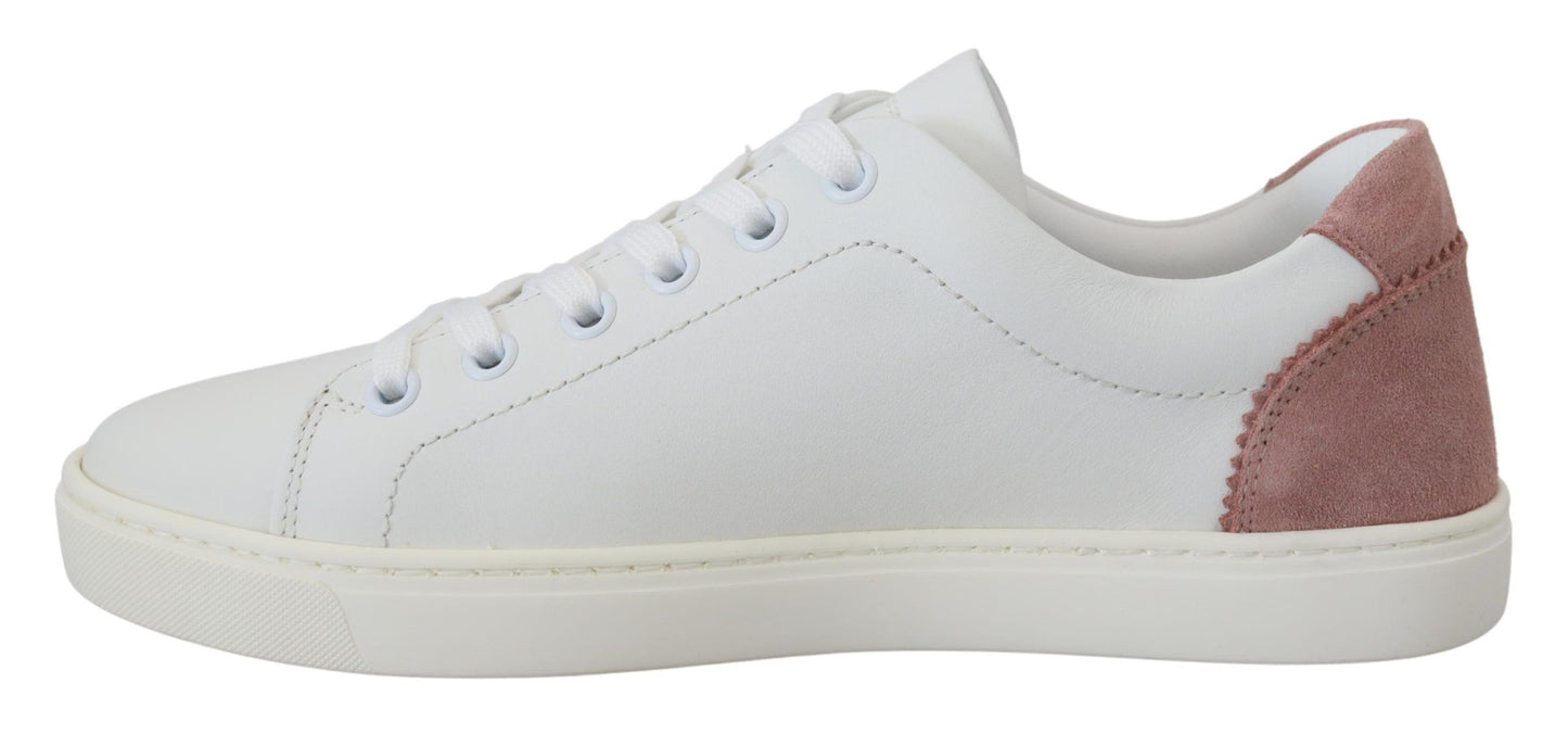 Dolce & Gabbana Chic low-top leather sneakers in white and pink