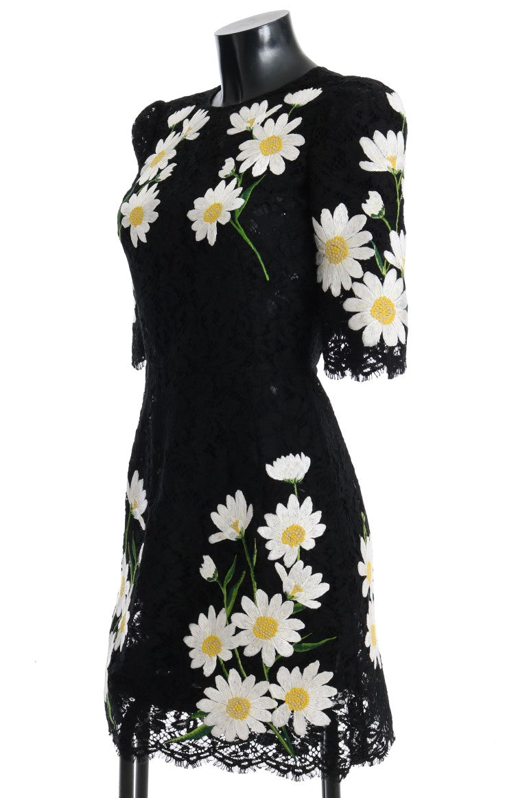 Dolce & Gabbana Black dress with floral camomile lace embroidery