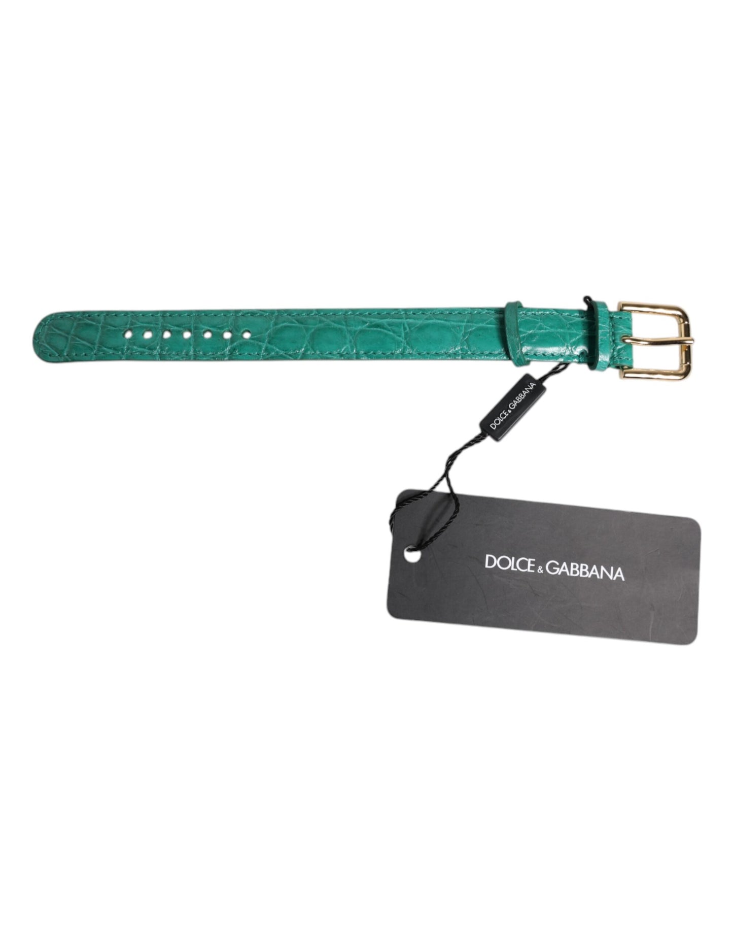 Dolce & Gabbana Grünes exotisches Leder mit goldfarbener Metallschnalle Armband