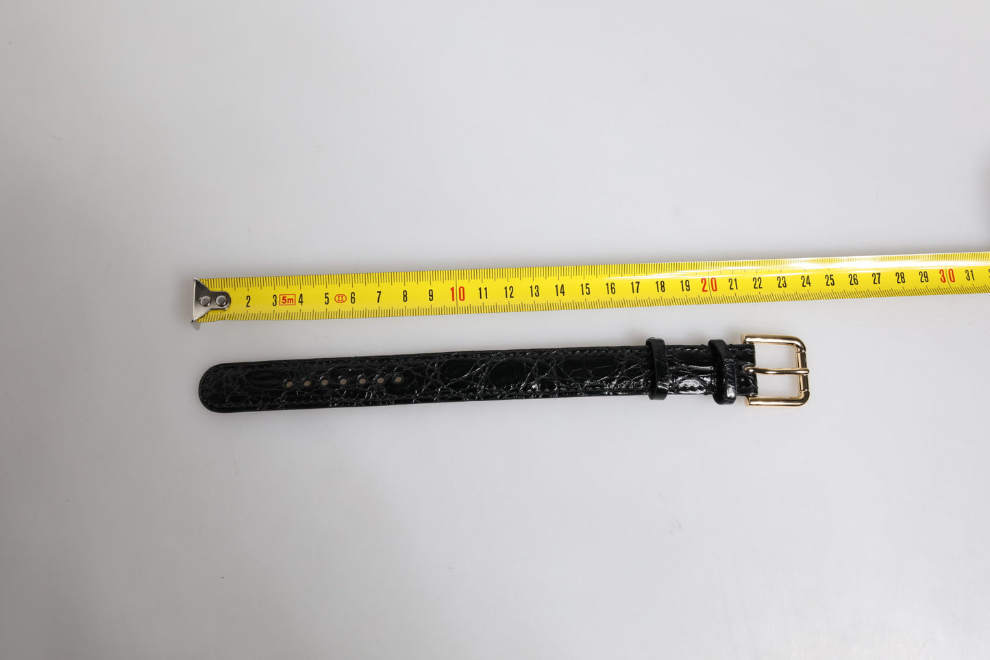 Dolce & Gabbana Schwarzes Exotenleder mit goldfarbener Metallschnalle Armband