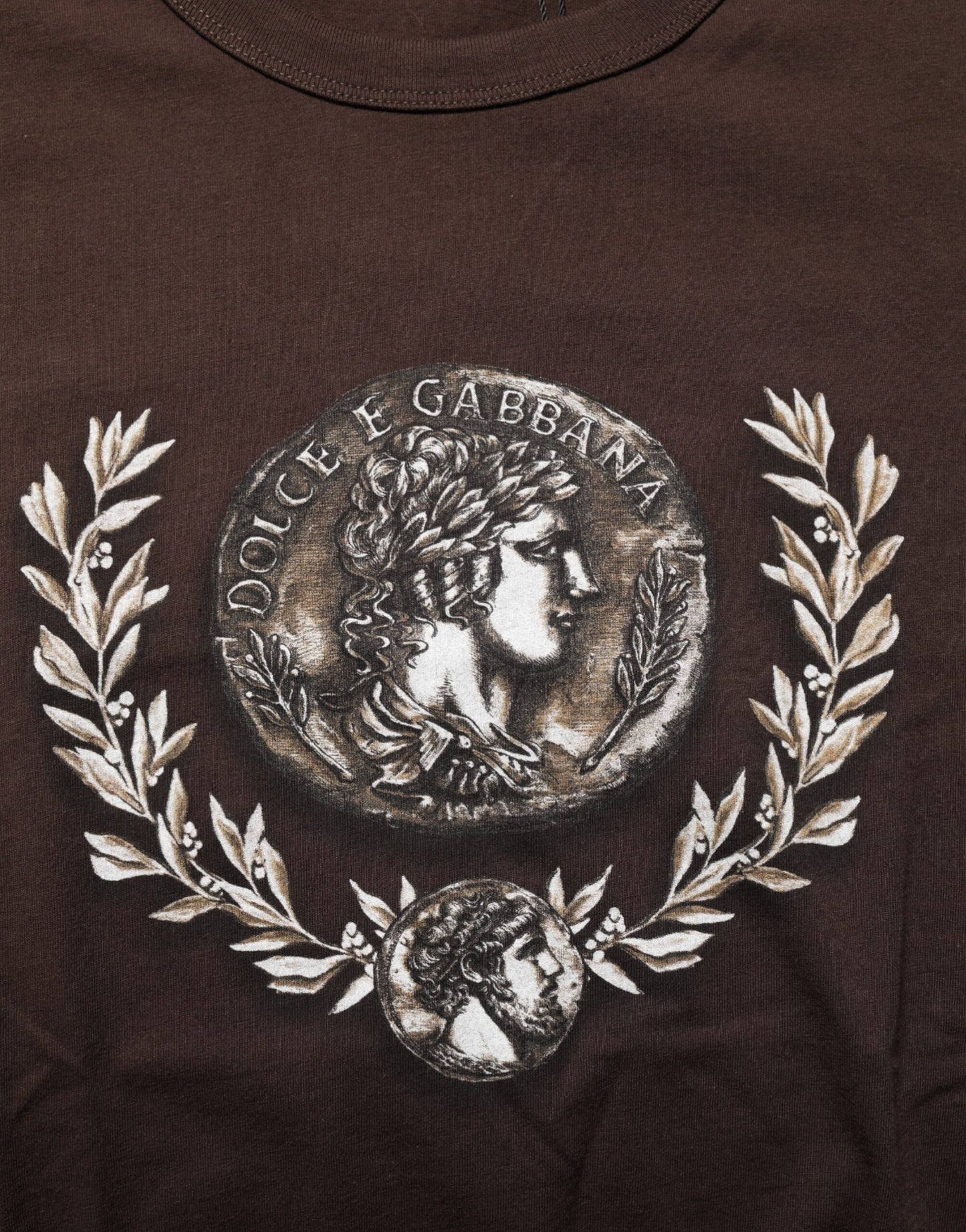 Dolce & Gabbana Braunes Münzlorbeer-T-Shirt mit Rundhalsausschnitt für Männer