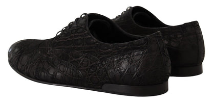 Dolce & Gabbana Schwarzes Kaimanleder Herren Oxford Schuhe