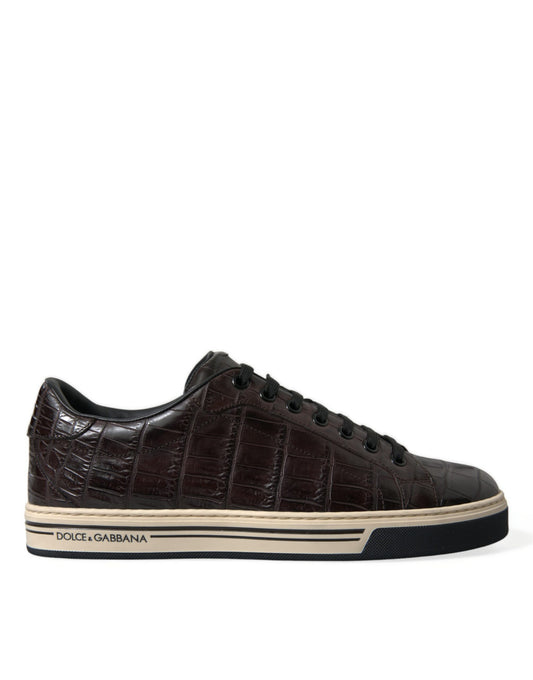 Dolce & Gabbana Braun Kroko Exotische Leder Männer Casual Turnschuhe Schuhe