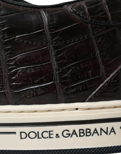 Dolce & Gabbana Braun Kroko Exotische Leder Männer Casual Turnschuhe Schuhe