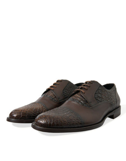Dolce & Gabbana Braune Exotische Leder Schnürschuhe Oxford Dress Schuhe