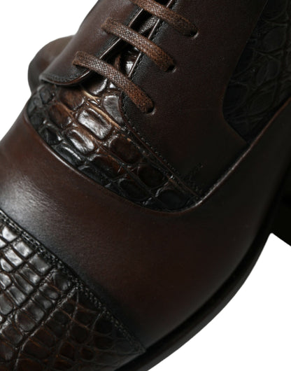 Dolce & Gabbana Braune Exotische Leder Schnürschuhe Oxford Dress Schuhe