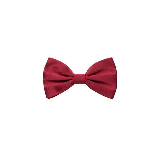 Dolce & Gabbana Rote Seidenkrawatten & Schleifen