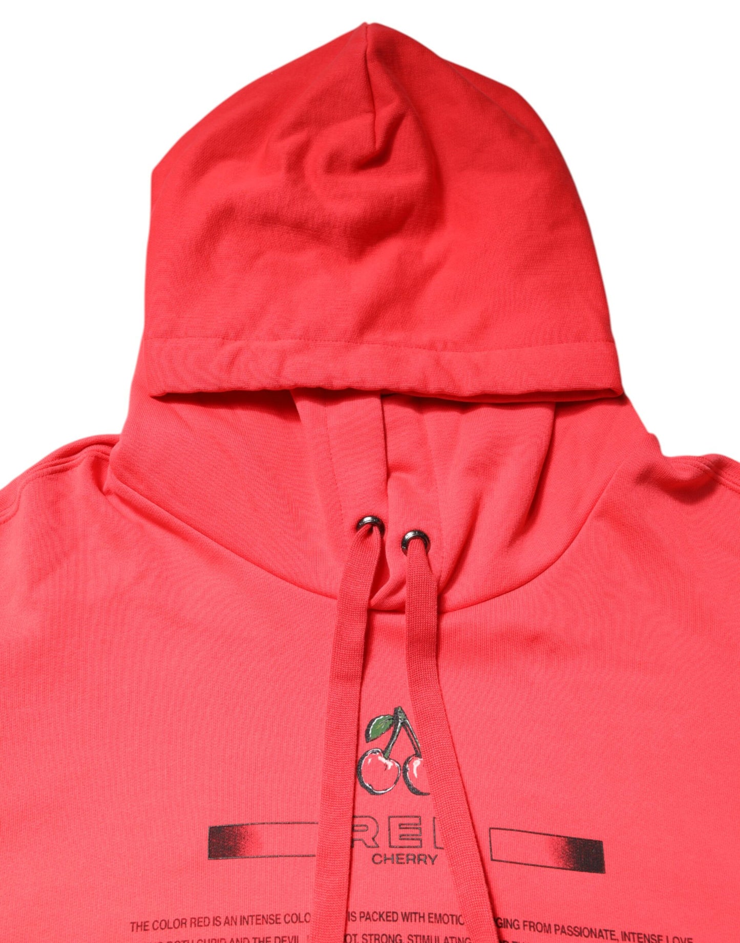 Dolce & Gabbana Rotes Logo bedrucktes Sweatshirt mit Kapuze Pullover